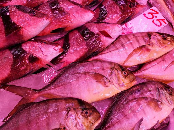 Hoe kun je je immuunsysteem versterken met een gebalanceerd dieet?